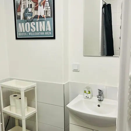 Noclegi Mosina Exterior photo