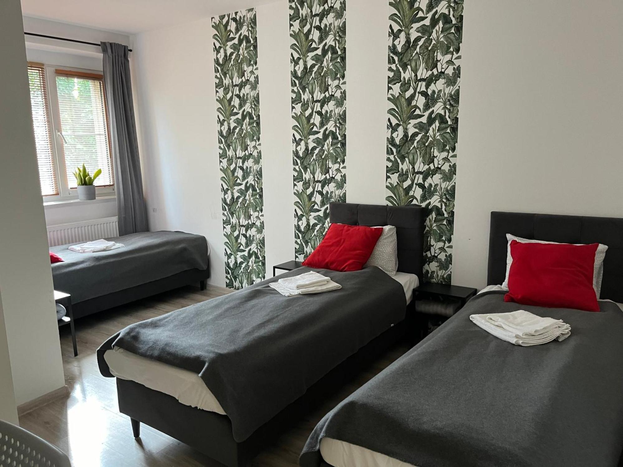 Homestay Noclegi Mosina