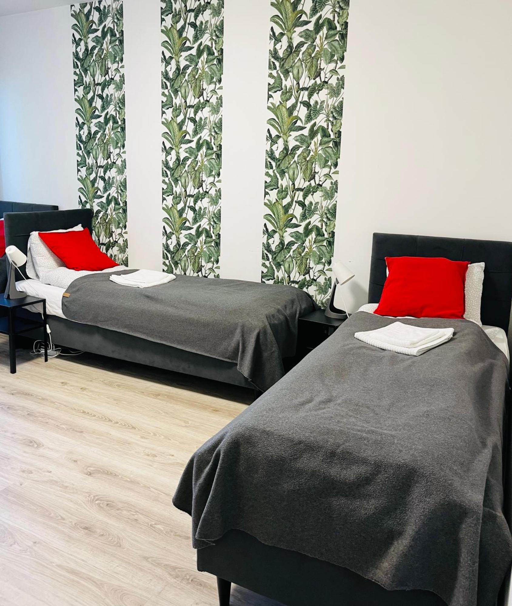 Homestay Noclegi Mosina Mosina